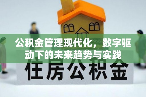 钦北公积金管理现代化，数字驱动下的未来趋势与实践