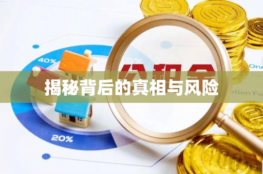钦北揭秘背后的真相与风险
