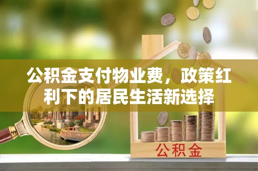 钦北公积金支付物业费，政策红利下的居民生活新选择