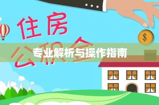 钦北专业解析与操作指南