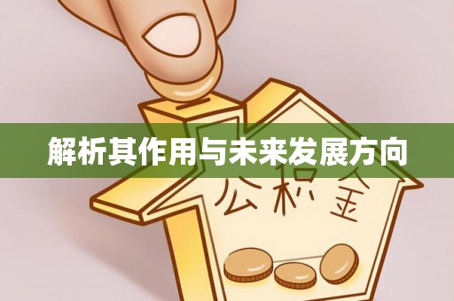 钦北解析其作用与未来发展方向